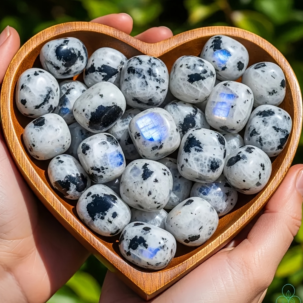 حقيبة تحتوي على 100 جرام من حج - مراجعة Gemstone Polishing Kit وسعره
